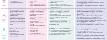 Auditing Career Path Graphic (1)