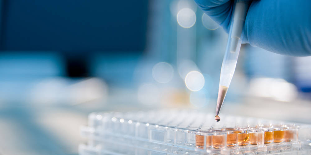 Istock 162264253 Istock 162264253