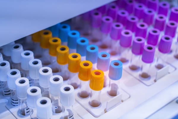 Istock 1355093075 Istock 1355093075