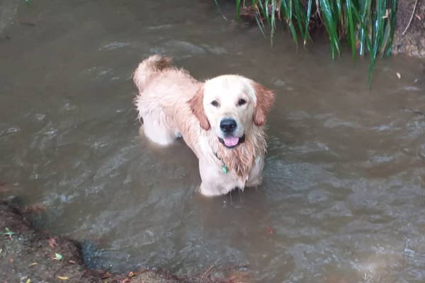 Nov Ajax Water