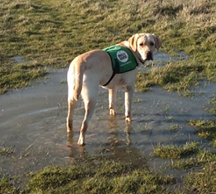 Monty Masters Tasks April 2