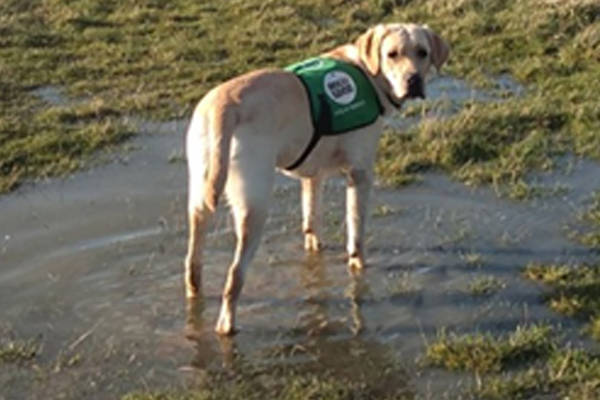 Monty Masters Tasks April 2 Monty Masters Tasks April 2