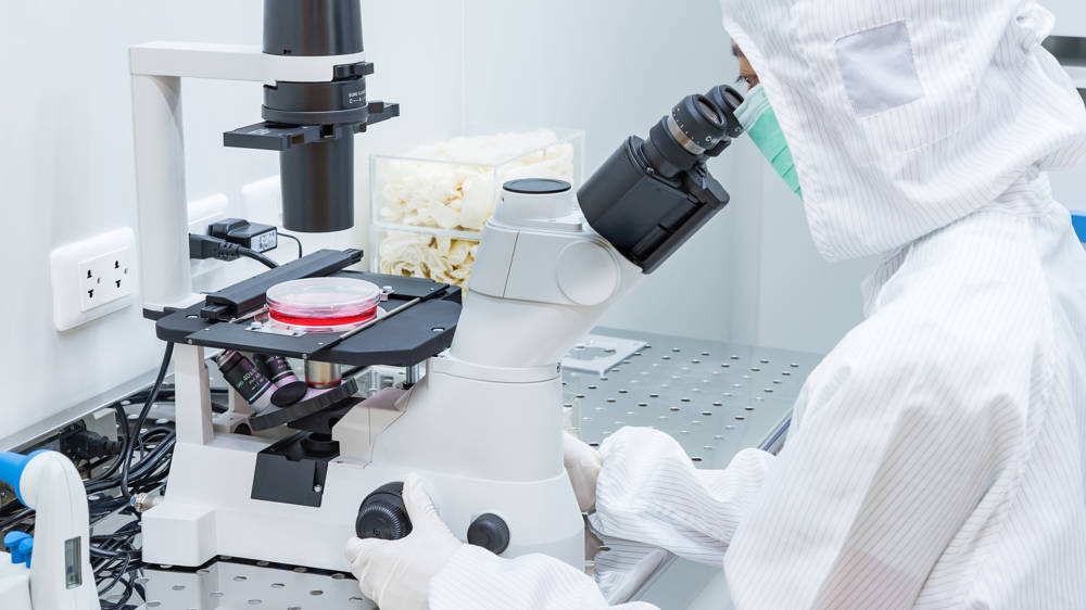 Shutterstock 1283997949 (1) Shutterstock 1283997949 (1)