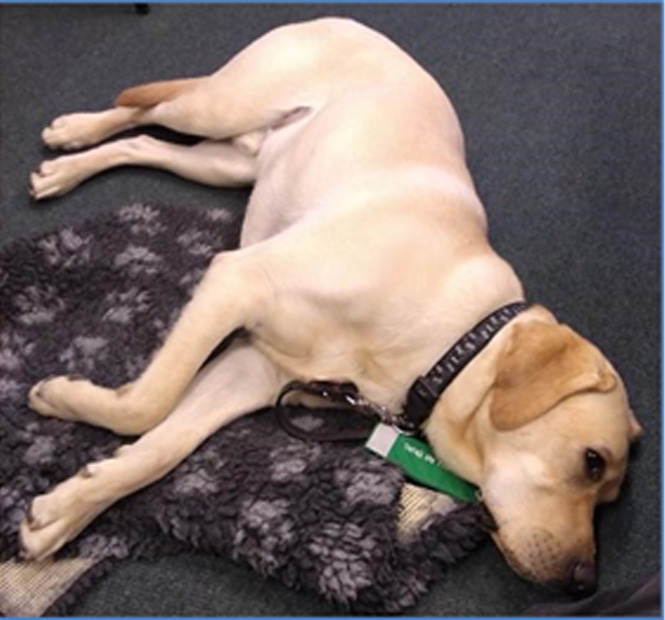 Monty Basic Training March 3