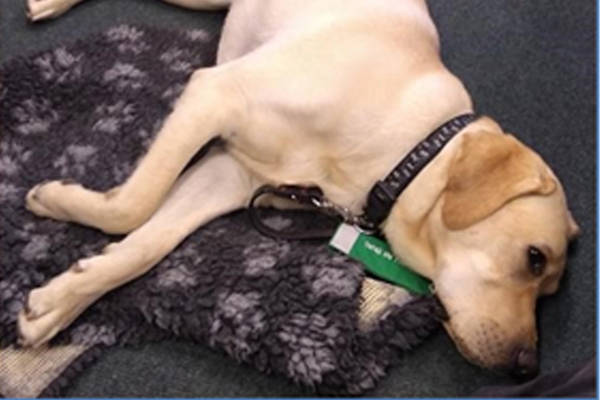 Monty Basic Training March 3 Monty Basic Training March 3