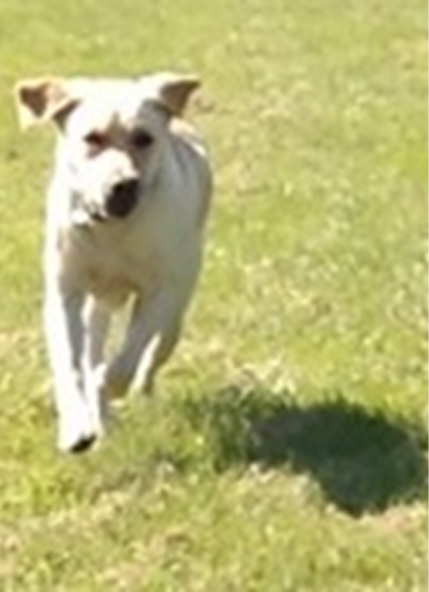 Monty Basic Training June 2