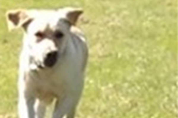 Monty Basic Training June 2 Monty Basic Training June 2