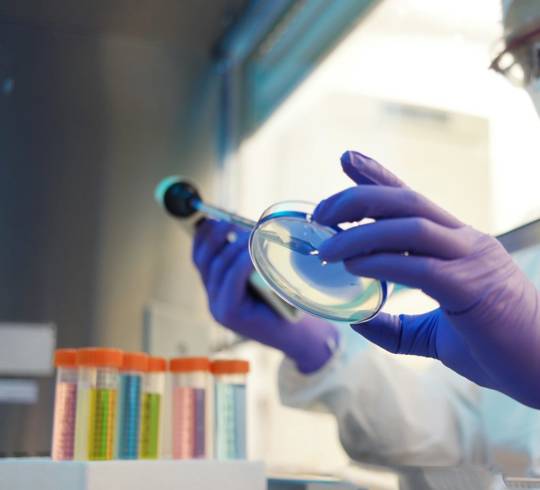 8391A438 E2a2 45C8 B3e5 21D7745dd746 8391A438 E2a2 45C8 B3e5 21D7745dd746