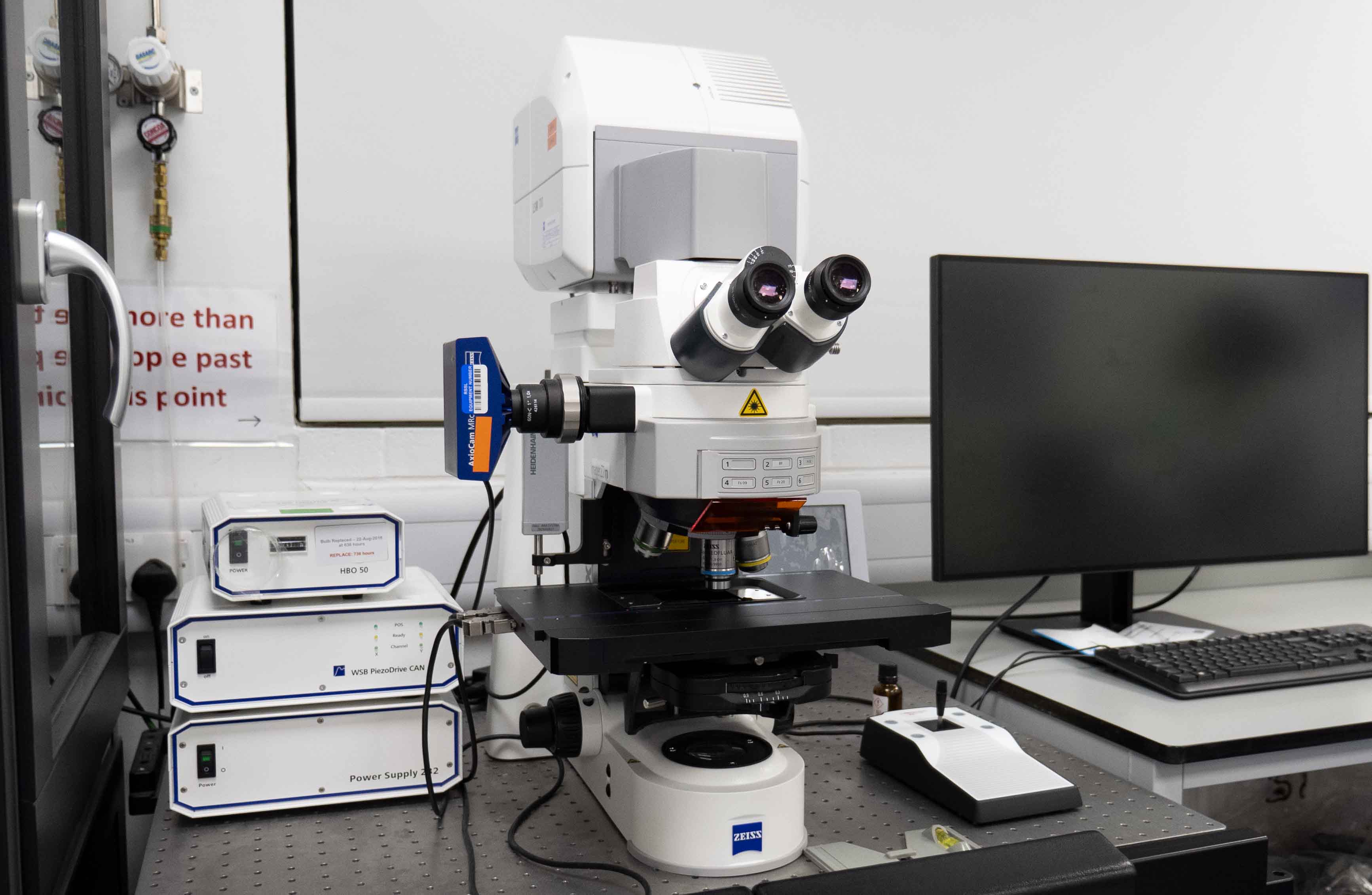 Confocal Laser Scanning Microscopy Upright Zeiss LSM 700