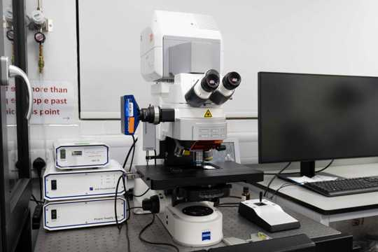 Confocal Laser Scanning Microscopy Upright Zeiss LSM 700