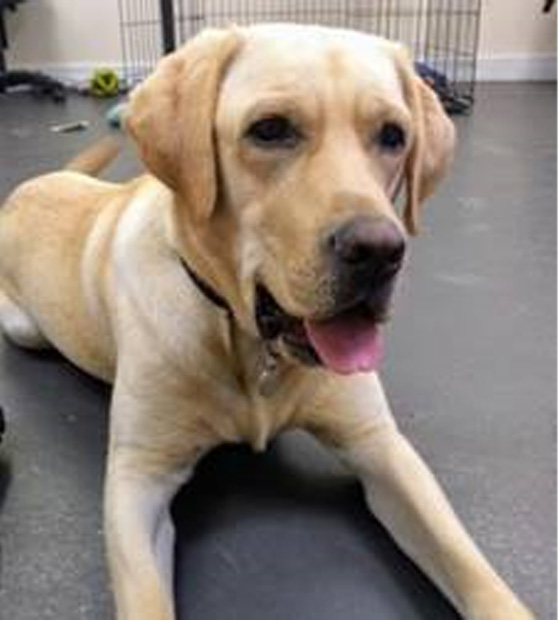 Monty Basic Training June 1