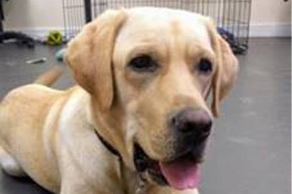 Monty Basic Training June 1 Monty Basic Training June 1