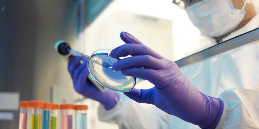 Istock 924655686 Istock 924655686