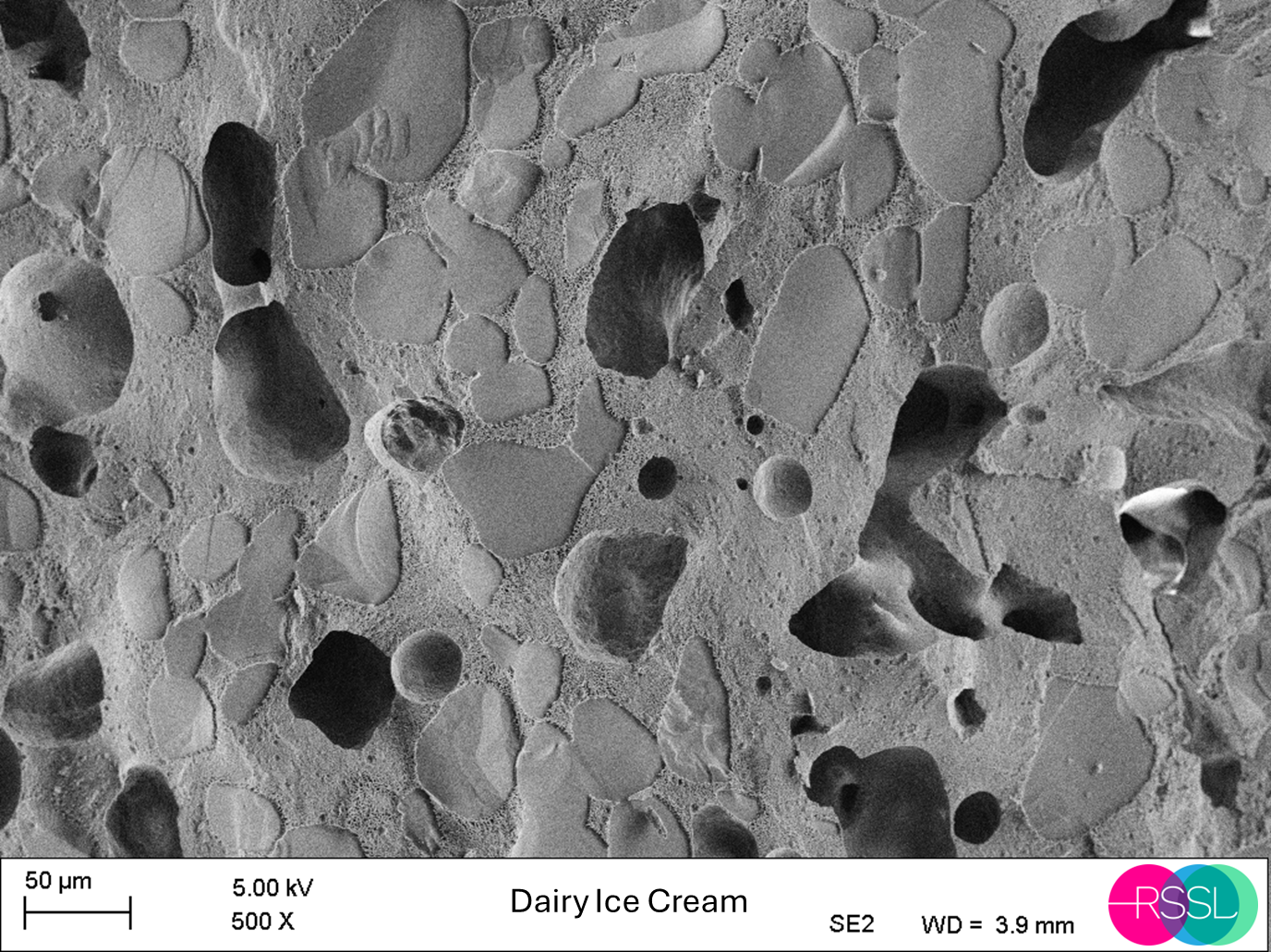 SEM image of ice cream