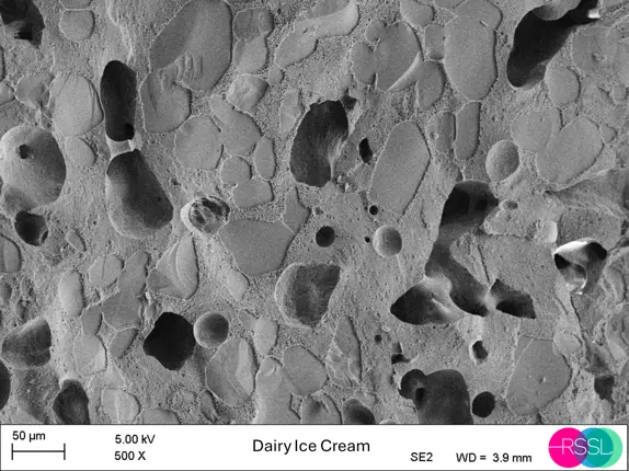 SEM image of ice cream