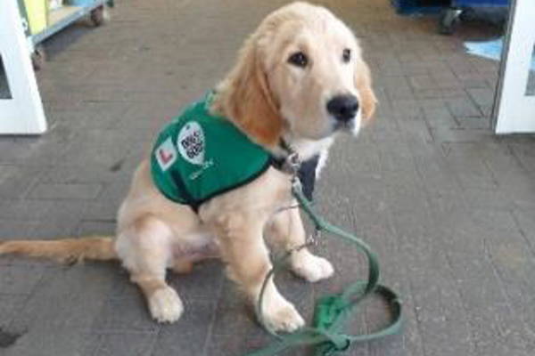 Ajax On Lead