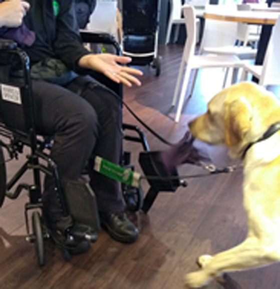 Monty Training October