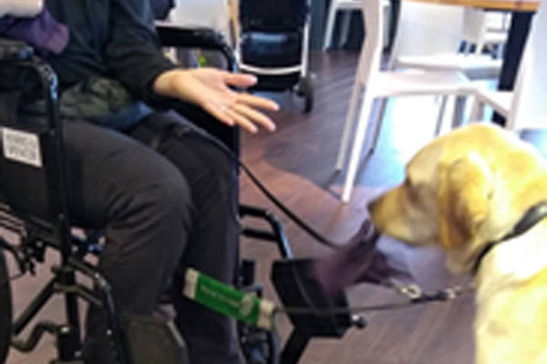 Monty Training October Monty Training October