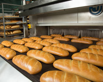 Adobestock 63036591 Bread Manufacturing