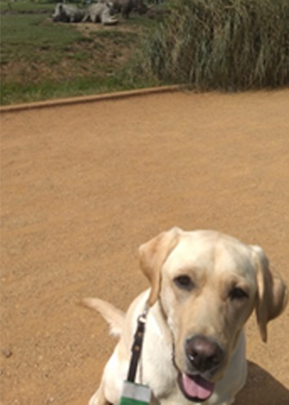 Monty Basic Training June 3