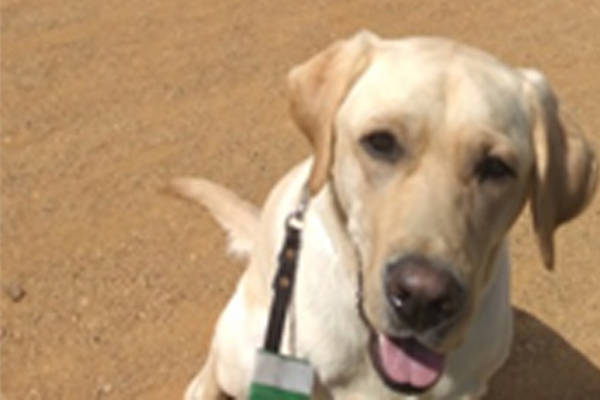 Monty Basic Training June 3 Monty Basic Training June 3