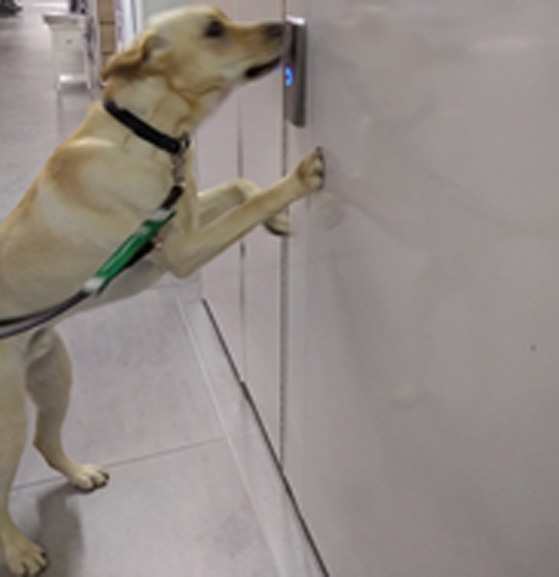 Monty Training October 3