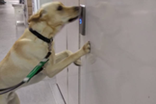 Monty Training October 3 Monty Training October 3