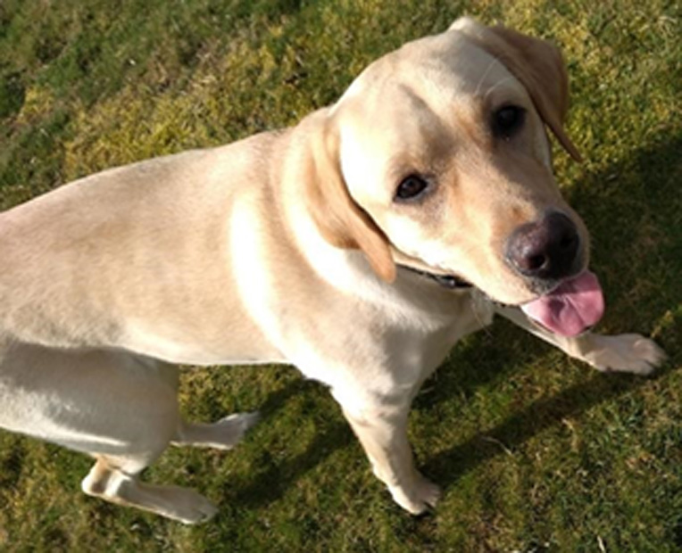 Monty Basic Training March 2