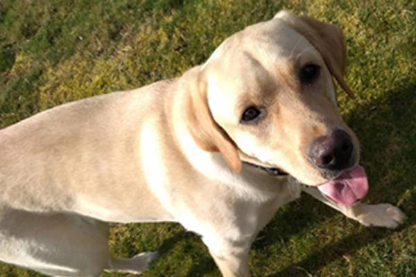 Monty Basic Training March 2 Monty Basic Training March 2