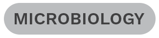 microbiology tag