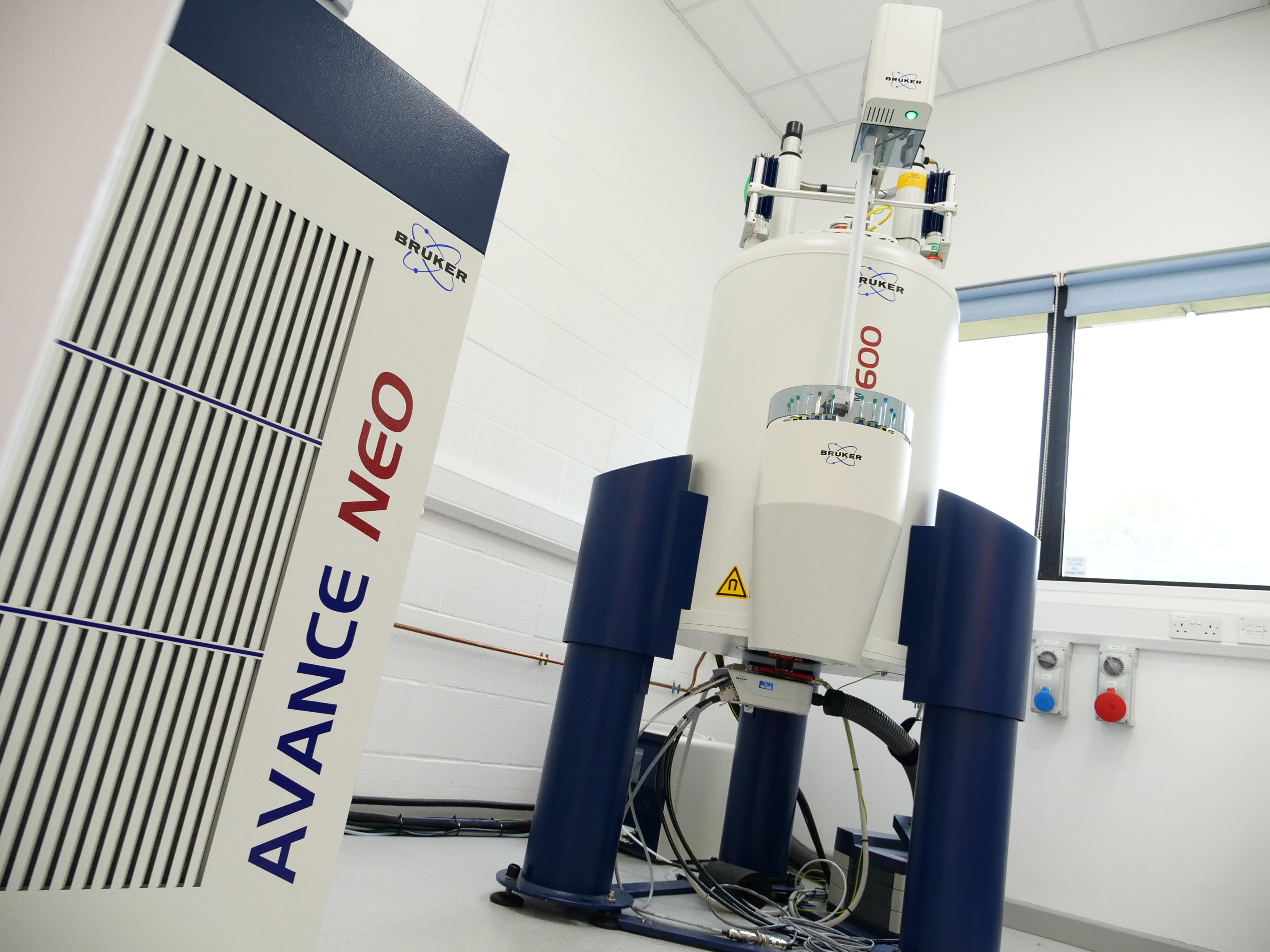 01010974 Avance Neo And 600