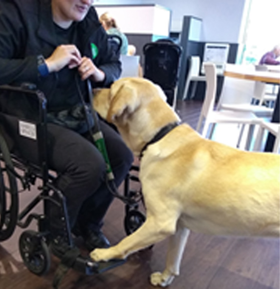 Monty Training October 2