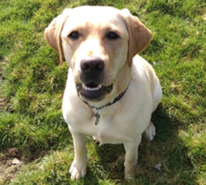 Monty Masters Tasks April 3