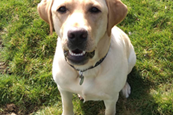 Monty Masters Tasks April 3 Monty Masters Tasks April 3