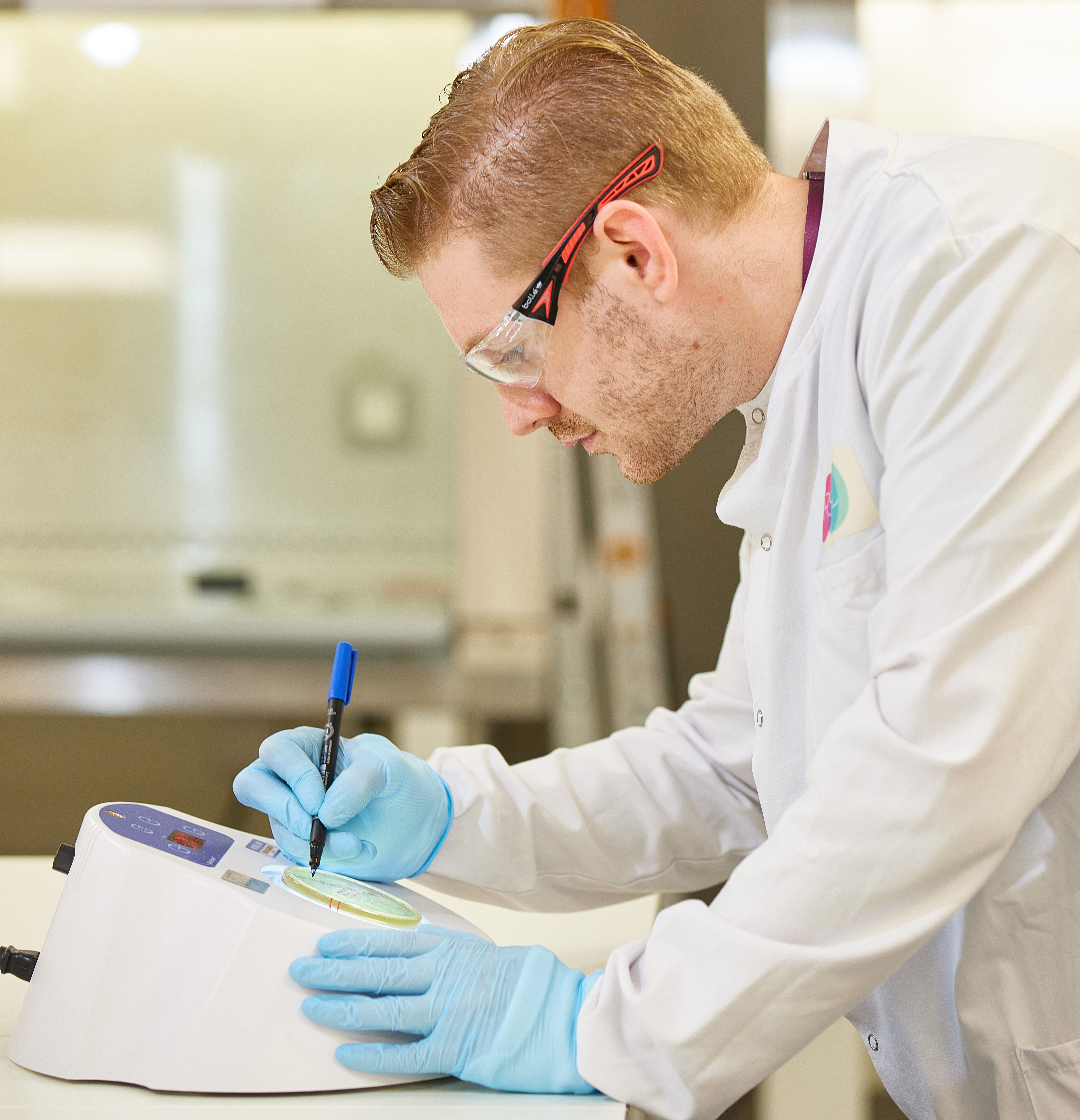 Microbiologist studying plates