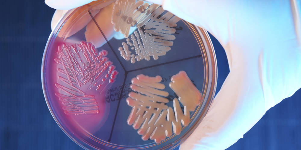 Istock 000012037671Large Istock 000012037671Large