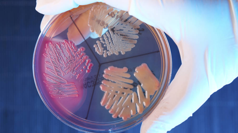 Istock 000012037671Large Istock 000012037671Large