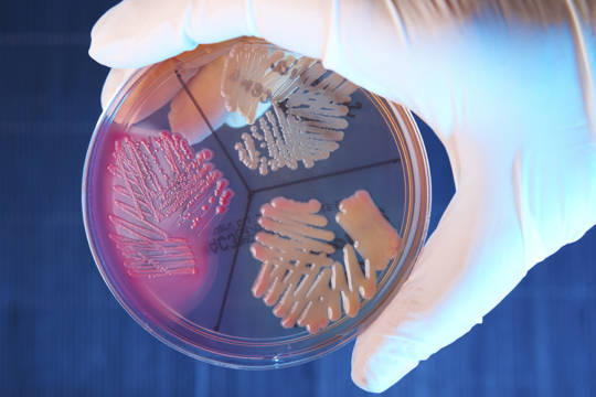 Istock 000012037671Large Istock 000012037671Large