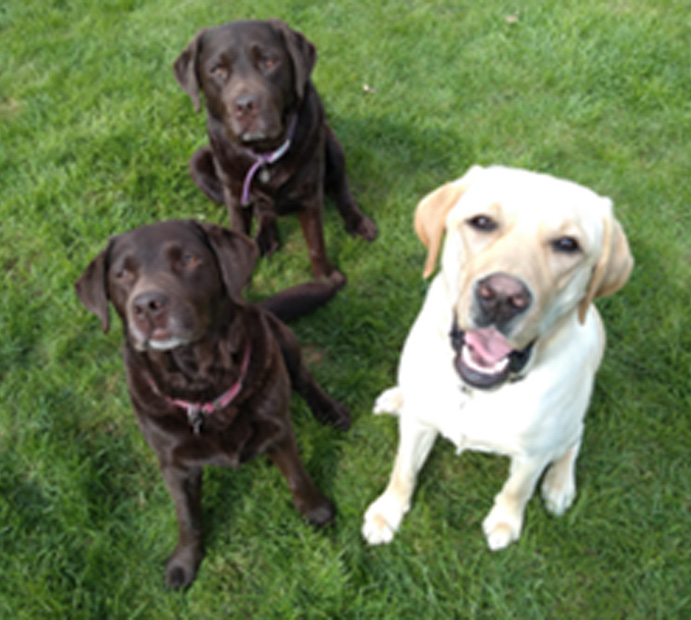 Monty Masters Tasks April