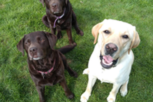 Monty Masters Tasks April Monty Masters Tasks April