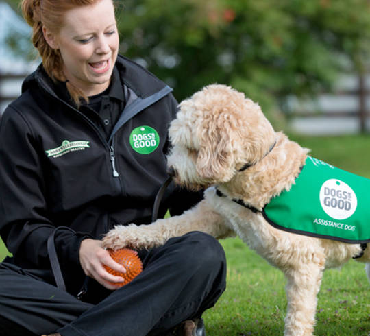 Dogs For Good Image Dogs For Good Image