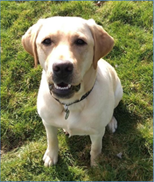 Monty Basic Training March