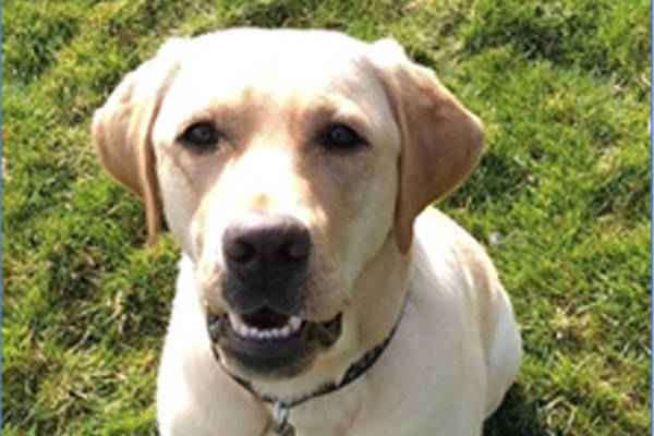 Monty Basic Training March Monty Basic Training March