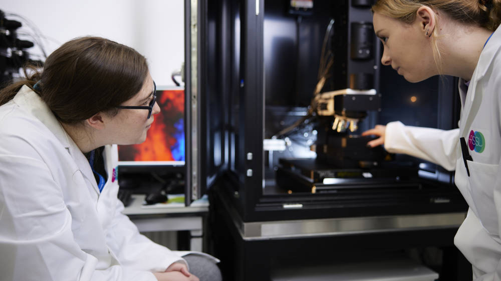 Shedding light on contaminants - Raman Spectroscopy for rapid identification